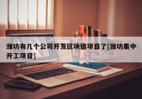 潍坊有几个公司开发区块链项目了[潍坊集中开工项目]