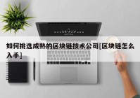 如何挑选成熟的区块链技术公司[区块链怎么入手]